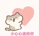 《舞蹈生》四十位女生初舞台首秀各具魅力,网友:心动了