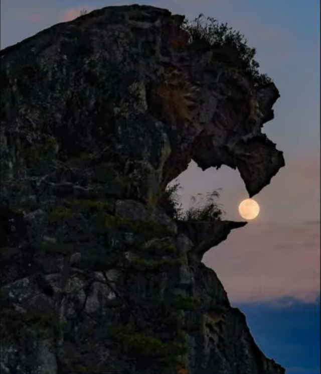 30个捕捉到的完美镜头，时机把握得太巧妙了