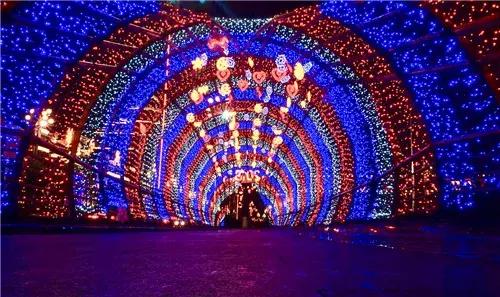 你这个二手女人,没资格挑三拣四!