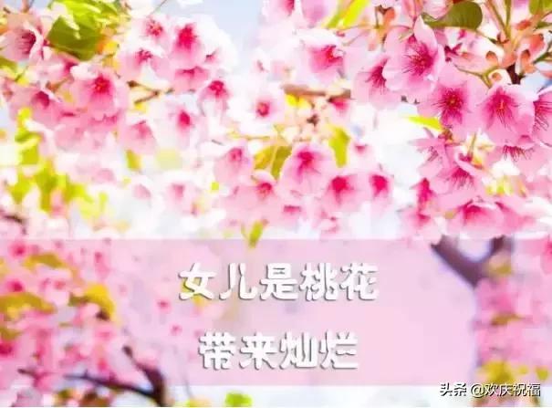 女人节!问候!送给天下所有的女人