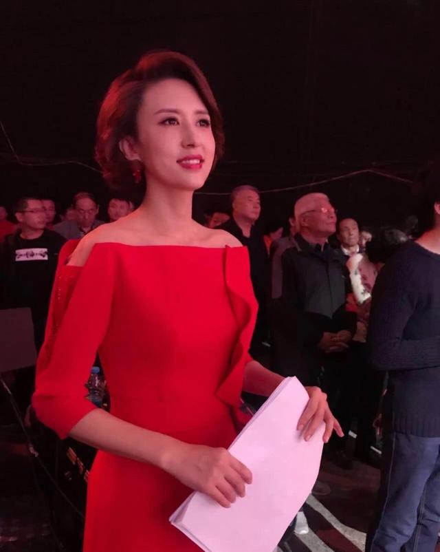 央视10大美女主持人,个个才貌双全,董卿知性,海霞端庄