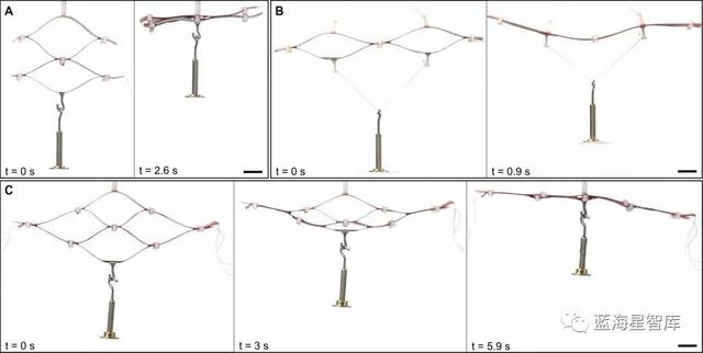 「前沿技术」纯静电力驱动的电子折纸致动器