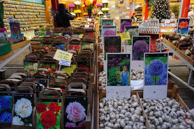 暴走阿姆斯特丹,看“百无禁忌”的“性都”到底是个什么样?