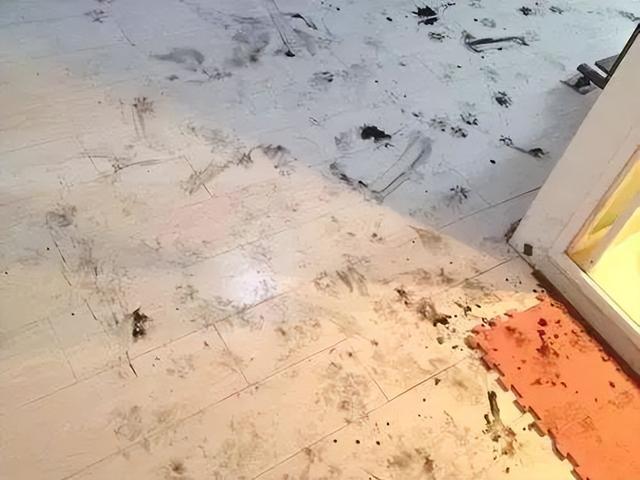 真正精致的女人,通常都会有这5个好习惯,能做到3个就很了不起