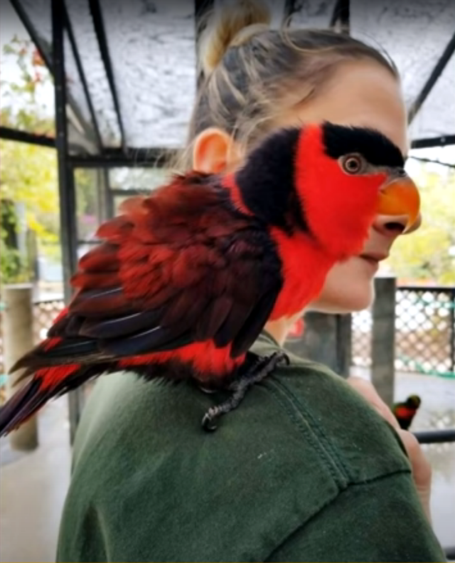 30个捕捉到的完美镜头，时机把握得太巧妙了