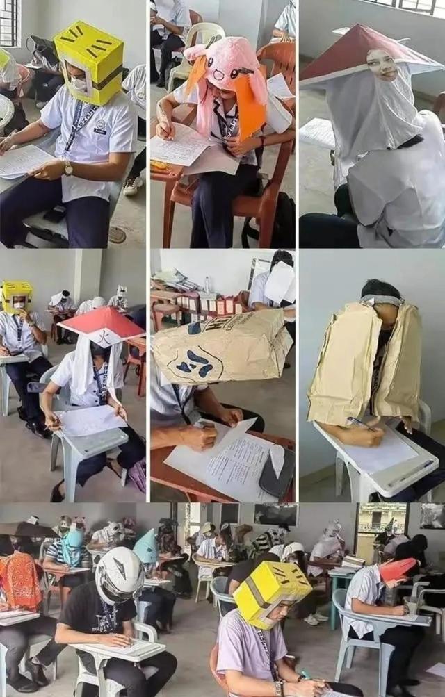 罕见的41张照片,巴西超模,戴安娜,如同枯枝一般的竹节虫,睢鸠