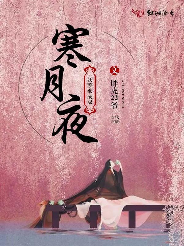 女频“男神”集结完毕,下一个爆款花落谁家?