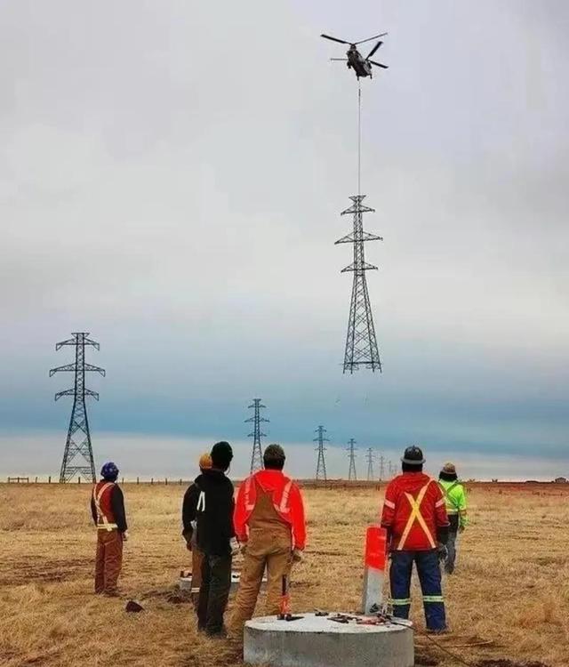 罕见的41张照片,巴西超模,戴安娜,如同枯枝一般的竹节虫,睢鸠