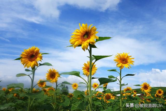 奸情出人命！漳州万达广场，老公当街疯狂向妻子情夫捅数刀致死亡