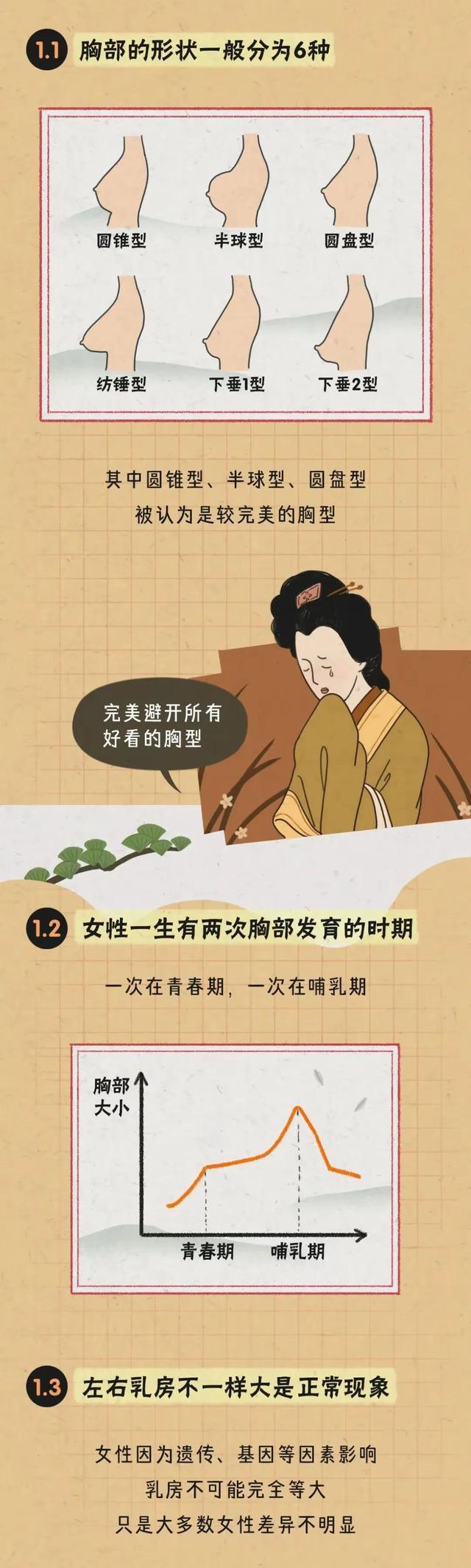 女生胸部可以分为几种?