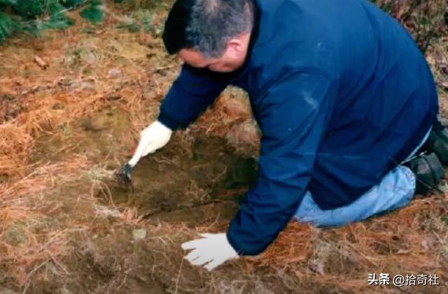 美女酒吧邂逅帅哥，惨遭杀害埋尸荒野，灵媒协助警方大破悬案