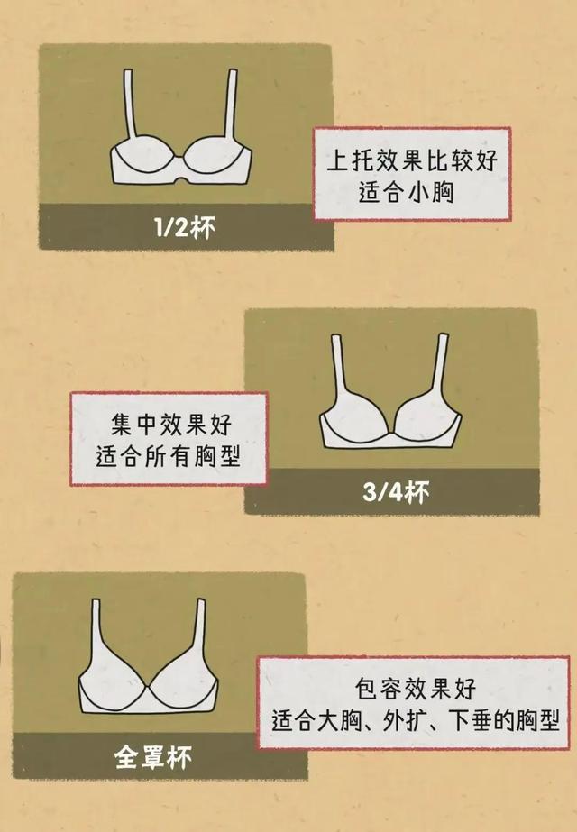 女生胸部可以分为几种?