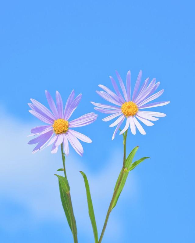 适合女生发朋友圈的简短唯美说说,发朋友圈人人点赞!