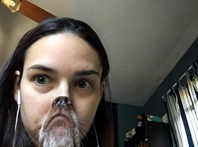 30个捕捉到的完美镜头，时机把握得太巧妙了