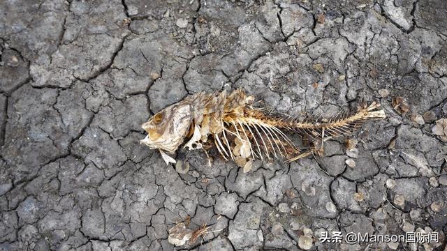 欧洲旱情再挫能源物流危机：河水位低难通航、挪威限制水电出口