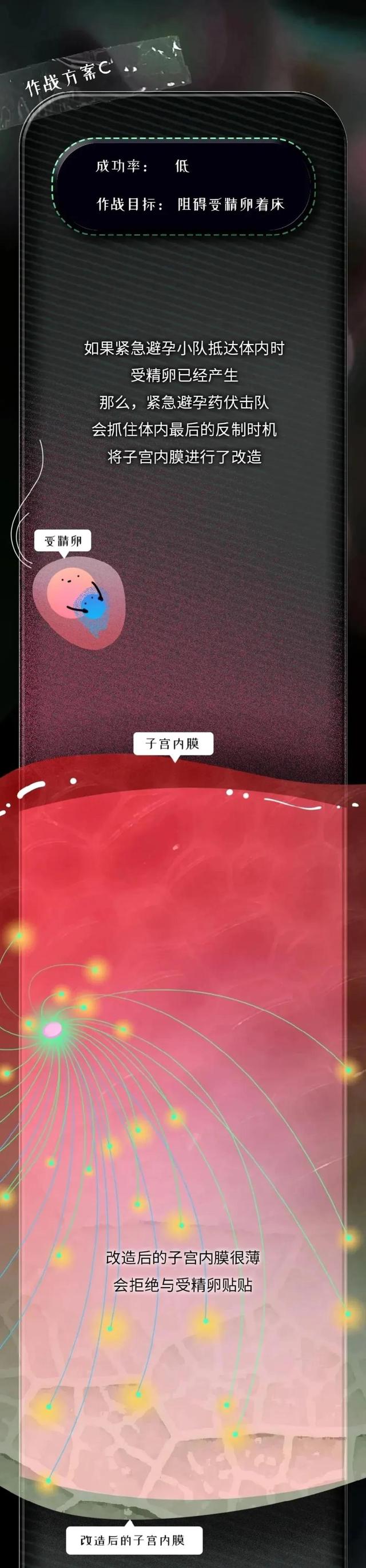 紧急避孕药进入女性的身体，24小时，体内会出现什么变化？