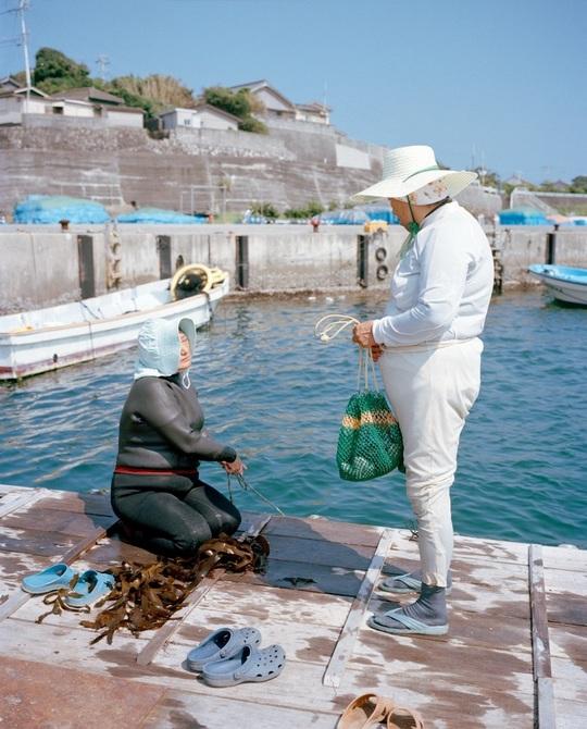 日本伊势志摩岛捕捞鲍鱼的都是女性