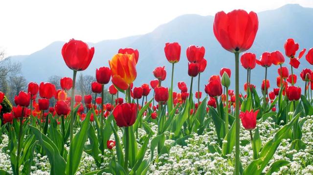 女人难以抗拒的，往往是这样的男人，不是外在也不是物质