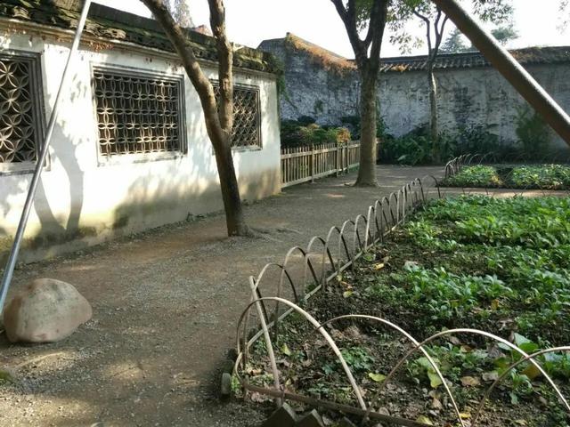 细思极恐：长妈妈为何要给鲁迅讲“美女蛇”的事？你真看懂了吗？