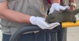 神奇动物在云南 骑鸵鸟的小女孩找到啦~