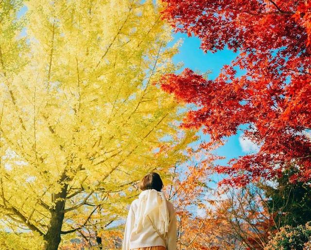 女士秋天拍美照，8种拍照姿势、技巧可以用，秋天景美人也美