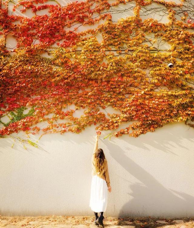 女士秋天拍美照，8种拍照姿势、技巧可以用，秋天景美人也美