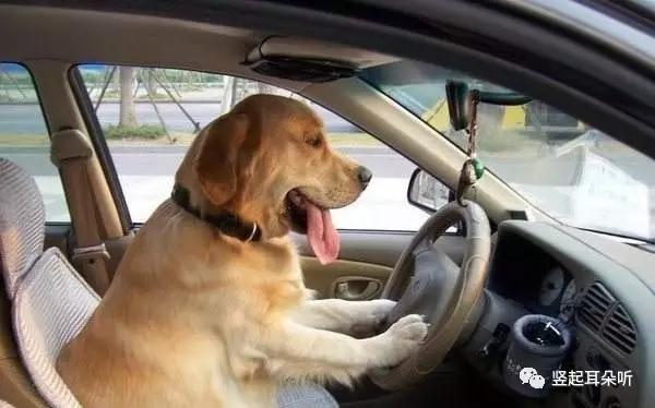 女生在你面前不小心放屁该怎么办？很多人都做错了