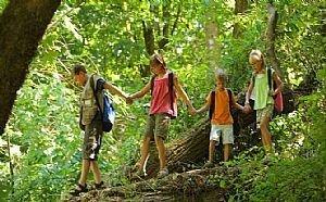 1979年，美国女孩外出游泳彻夜未归，华裔神探抽丝剥茧掀开谜团