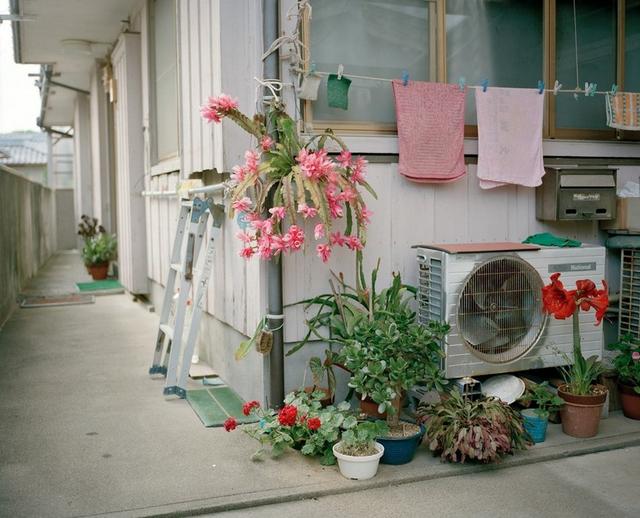 日本伊势志摩岛捕捞鲍鱼的都是女性