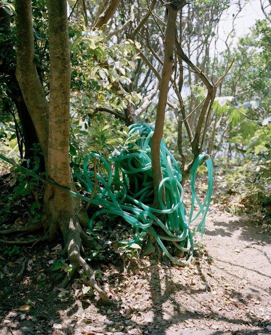 日本伊势志摩岛捕捞鲍鱼的都是女性