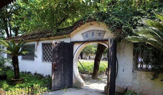 细思极恐：长妈妈为何要给鲁迅讲“美女蛇”的事？你真看懂了吗？