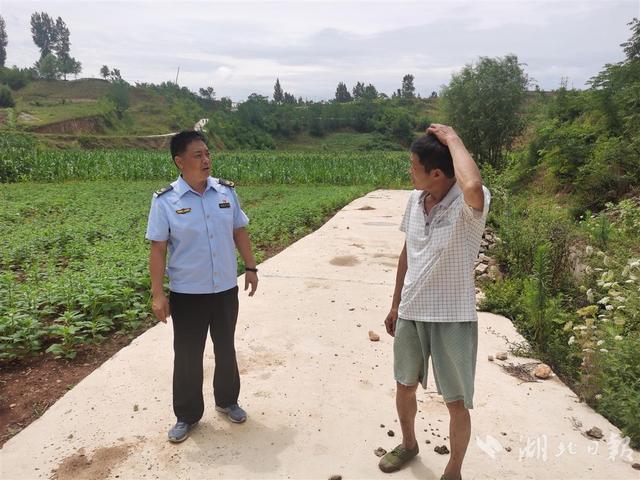 ​玉米长势喜人，芝麻花开一片，这块有坝带沟的地块不一般——丹江口市一尾矿库复耕3年增加农民收益