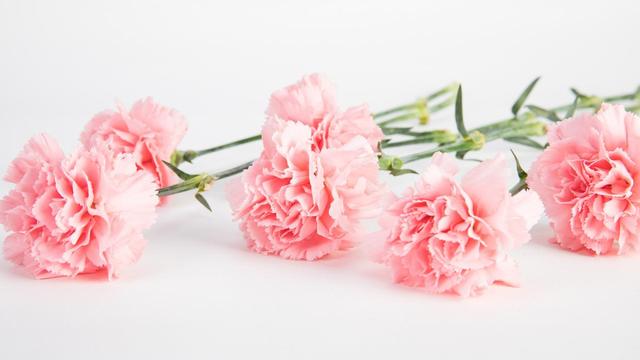 你早晚会明白，有一种女人，男人不会真爱