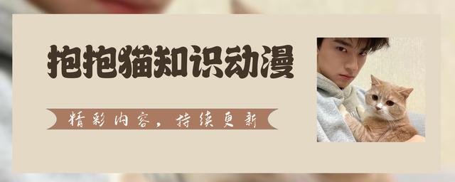 紧急避孕药进入女性的身体，24小时，体内会出现什么变化？