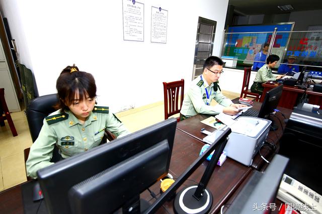 美女军人辛苦了！澳洲3863头“扶贫”奶牛从广西登陆