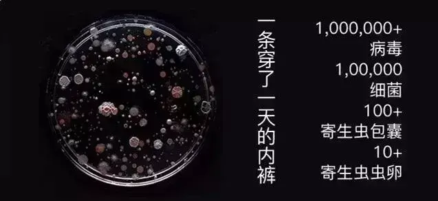 女生的内裤到底有多脏？