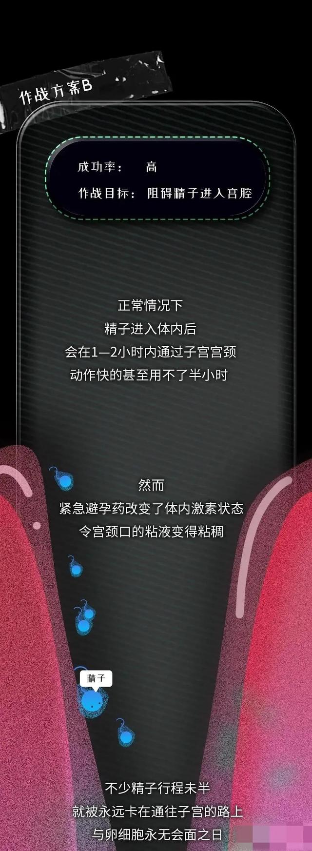 紧急避孕药进入女性的身体，24小时，体内会出现什么变化？