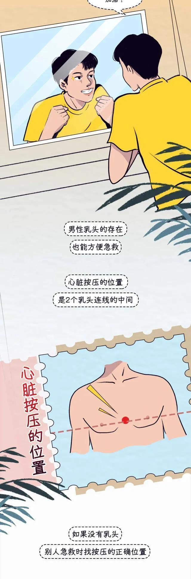 男人的乳房真的有用吗？女孩多年的疑惑，可以解开了