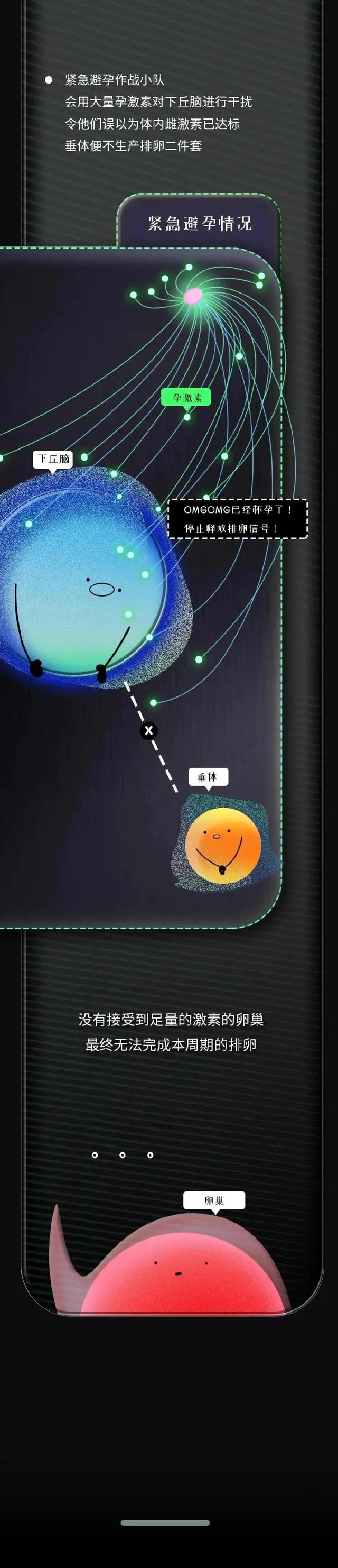 紧急避孕药进入女性的身体，24小时，体内会出现什么变化？