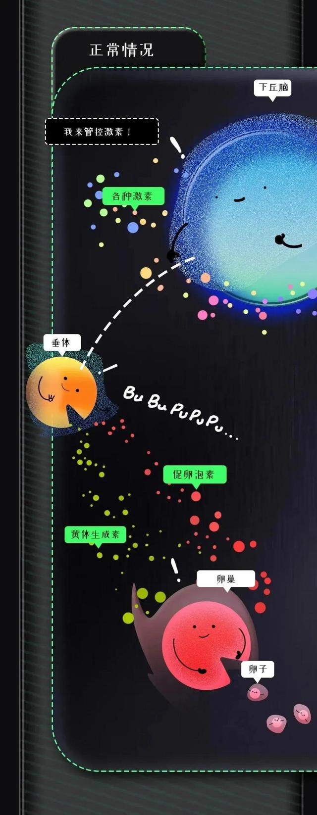 紧急避孕药进入女性的身体，24小时，体内会出现什么变化？