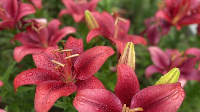 女人难以抗拒的，往往是这样的男人，不是外在也不是物质
