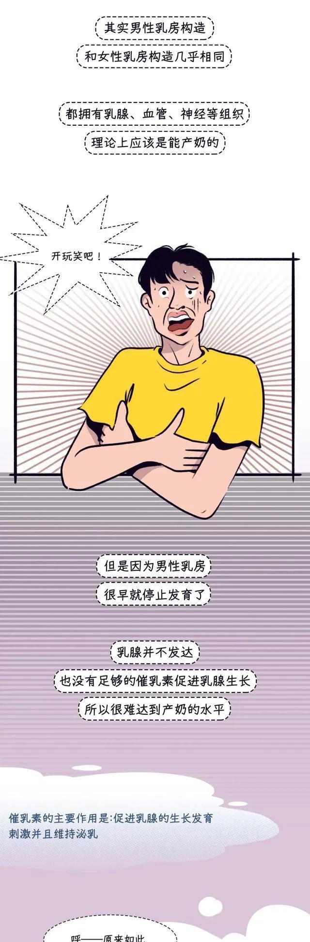 男人的乳房真的有用吗？女孩多年的疑惑，可以解开了