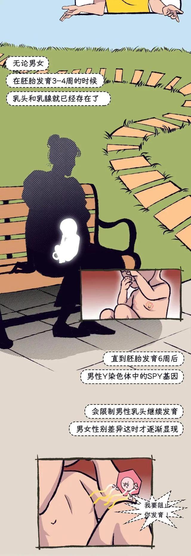 男人的乳房真的有用吗？女孩多年的疑惑，可以解开了