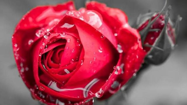 女人难以抗拒的，往往是这样的男人，不是外在也不是物质