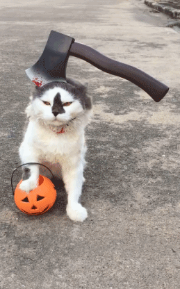 师父说过,山下的女人是老虎,遇到了要躲开