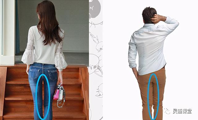 想知道男生、女生的屁股怎么画？先看看男女臀部结构的区别