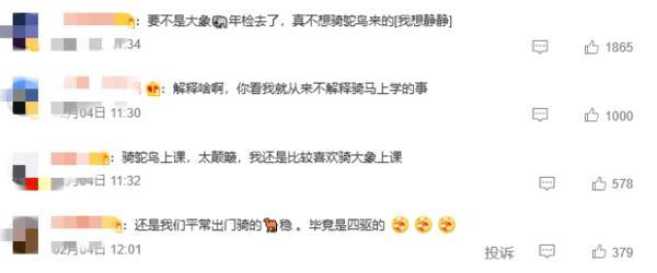 神奇动物在云南 骑鸵鸟的小女孩找到啦~