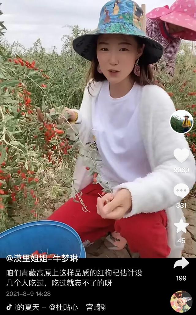 青藏高原，一个90后女孩的意外逆袭