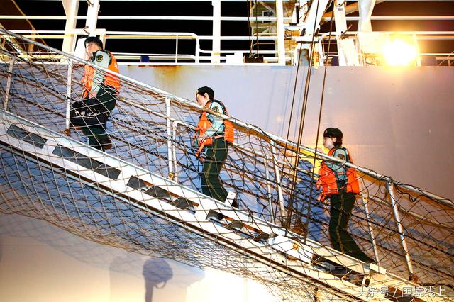 美女军人辛苦了！澳洲3863头“扶贫”奶牛从广西登陆