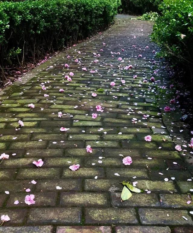 我懂男人心，我比男人更喜欢看美女……